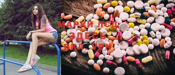 mdma Бородино