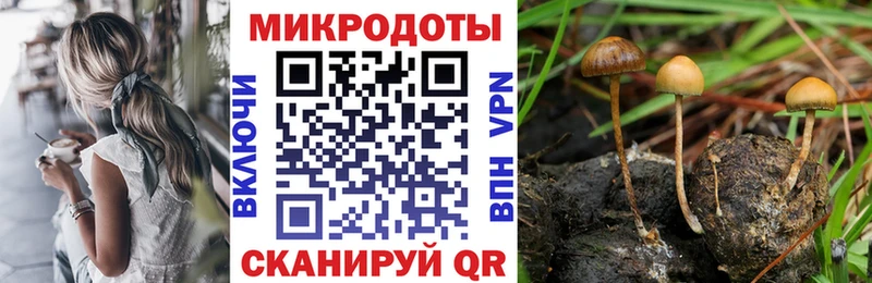 где продают   Семёнов  Псилоцибиновые грибы MAGIC MUSHROOMS 